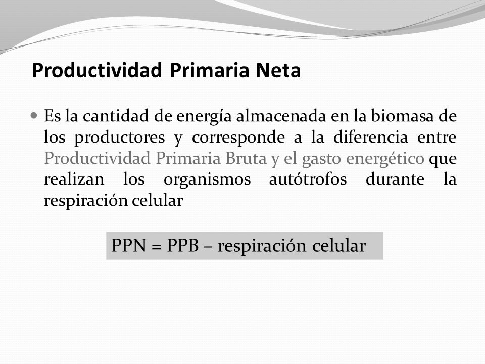 PRODUCTIVIDAD PRIMARIA NETA EPUB DOWNLOAD PRODUCTIVIDAD PRIMARIA NETA EPUB DOWNLOAD